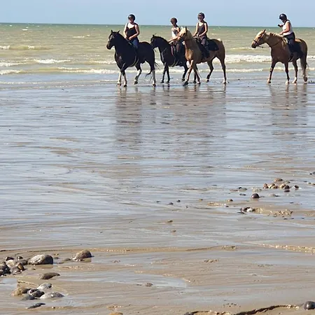 Mobilhome Du Marais En Baie De Somme Woignarue